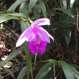 Meet your Posher, Raymond